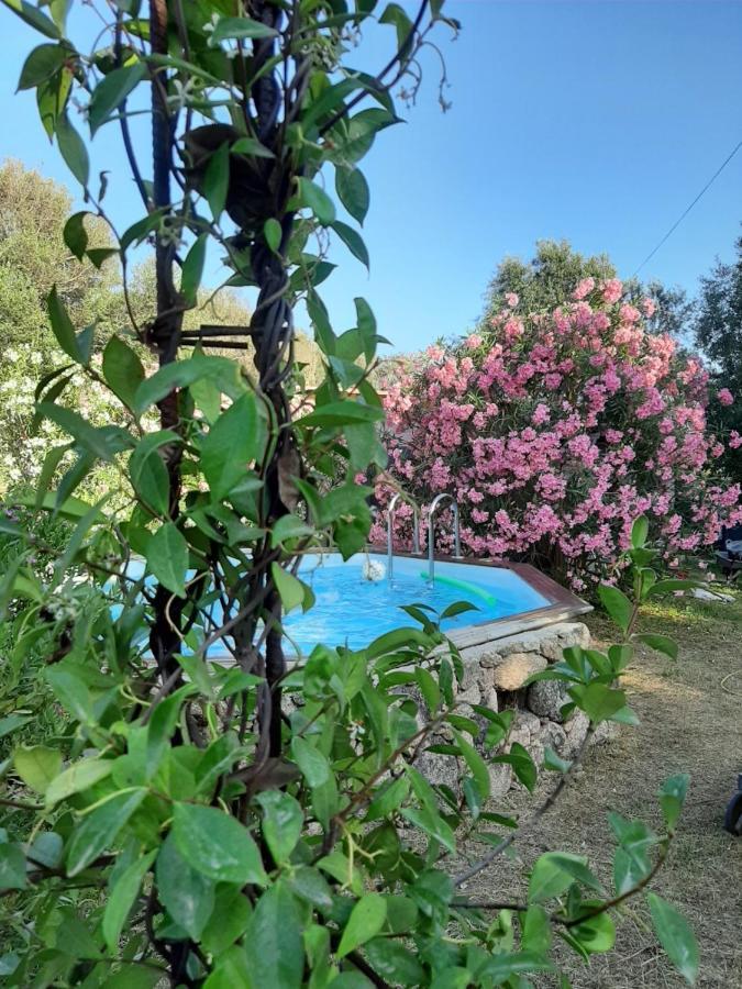 Mini Villa Giuseppina Бонифачо Екстериор снимка